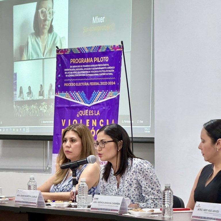 Participación de Mtra. Adilene Montoya y personal del Tribunal en la Presentación de Hallazgos del Programa Piloto del INE sobre Derechos Político-Electorales de Mujeres.