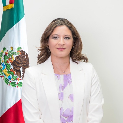 Dra. Ana Maribel Salcido Jashimoto